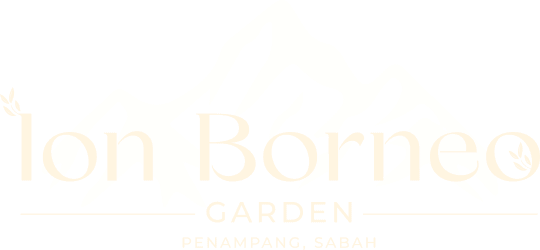 ion borneo banner logo